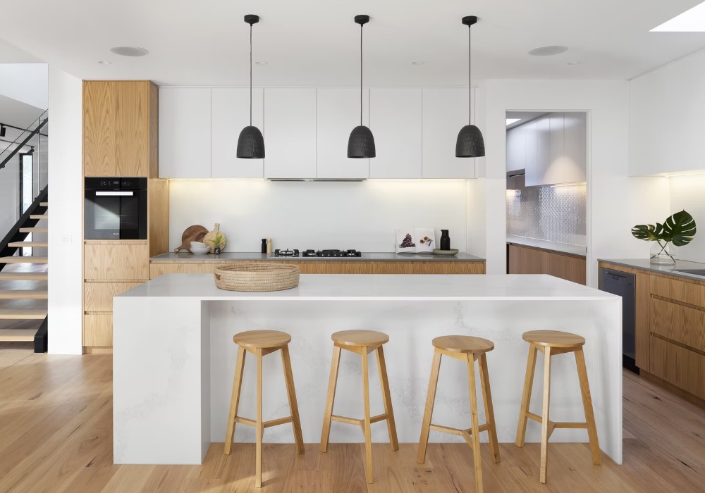 Midcoast Pest and Building Inspections